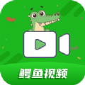 鳄鱼视频安卓版